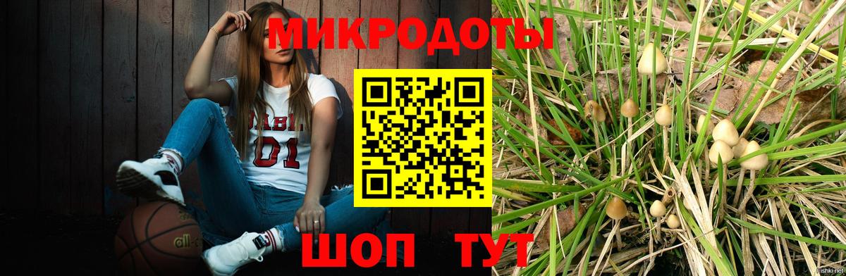 Галлюциногенные грибы прущие грибы  Галлюциногенные грибы мухоморы  Вход с VPN  Баксан 