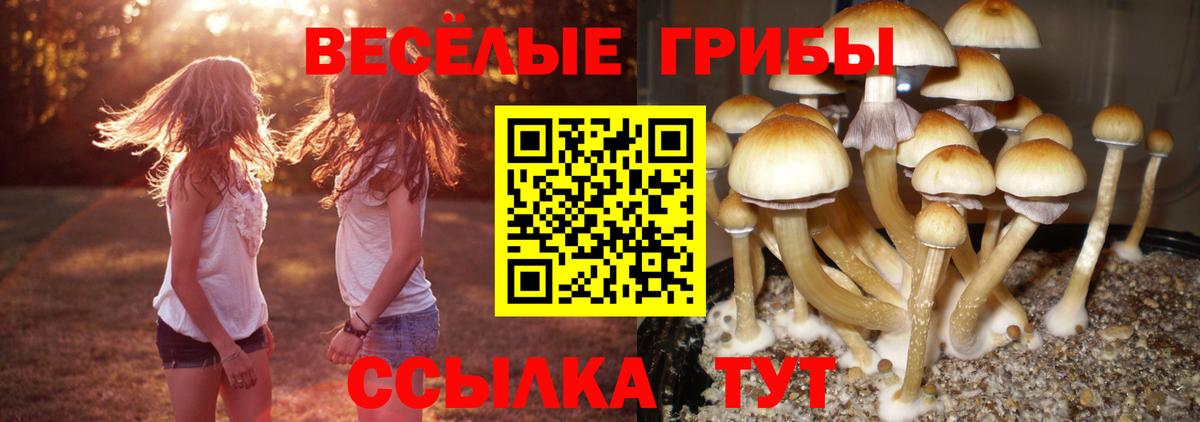 Псилоцибиновые грибы Magic Shrooms Баксан